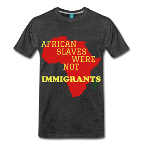 SLAVES NOT IMMIGRANTS - charcoal gray