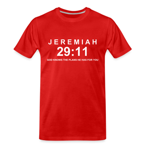 JEREMIAH 29:11 - red